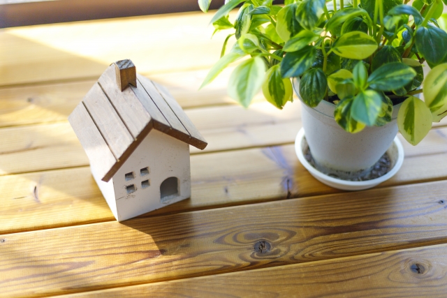 メディア記事画像